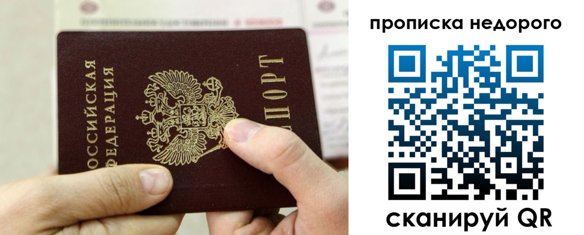 прописка гарантия в Волгограде